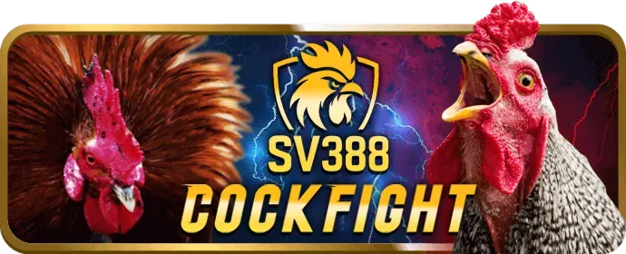 Ưu đãi độc quyền i9bet58