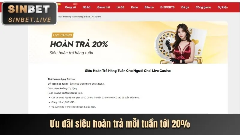 Giải mã cơ chế tiền thưởng tại sòng bạc trực tuyến